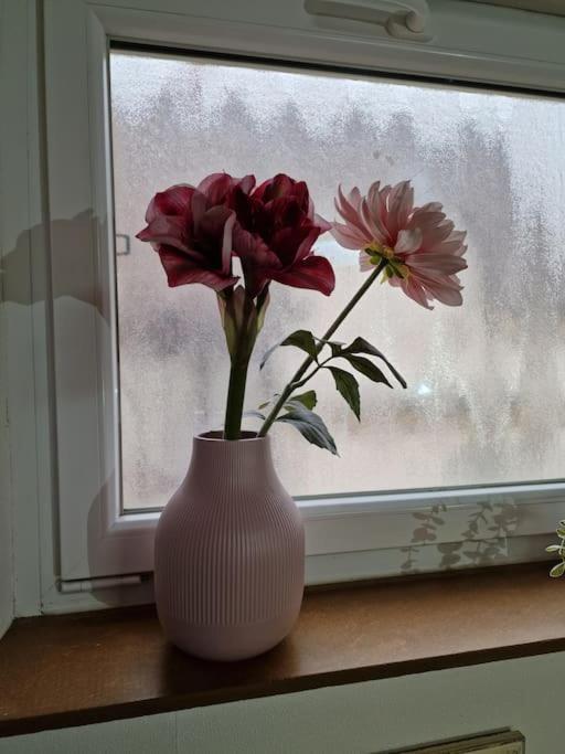 Grosszuegige Ferienwohnung 4+1 P. Büttelborn Esterno foto