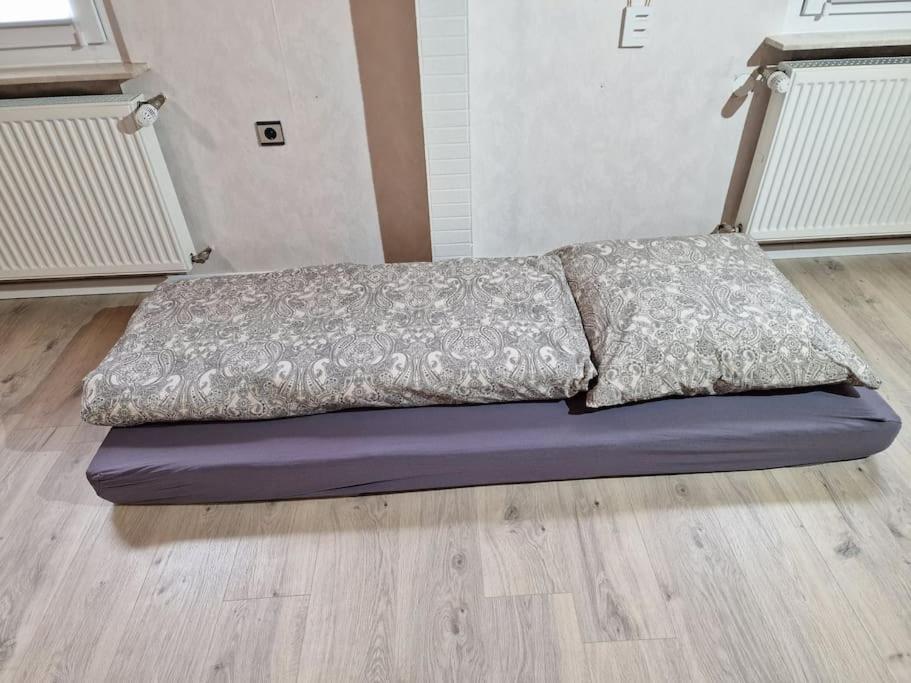 Grosszuegige Ferienwohnung 4+1 P. Büttelborn Esterno foto